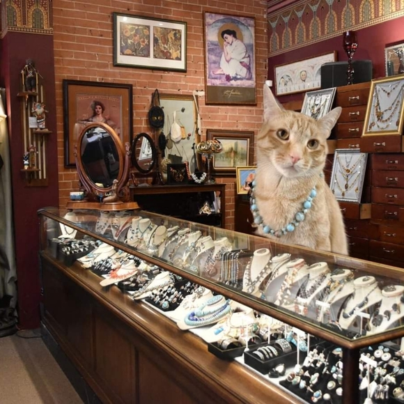 YOU could looks this fabulous too! - Picture 7 of 12